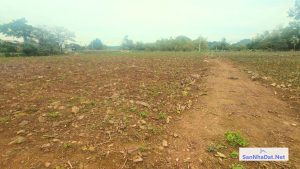 Bán Đất 4.263 M2 Tại Thanh Cao, Lương Sơn