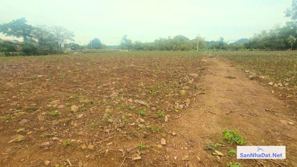 Bán Đất 4.263 M2 Tại Thanh Cao, Lương Sơn