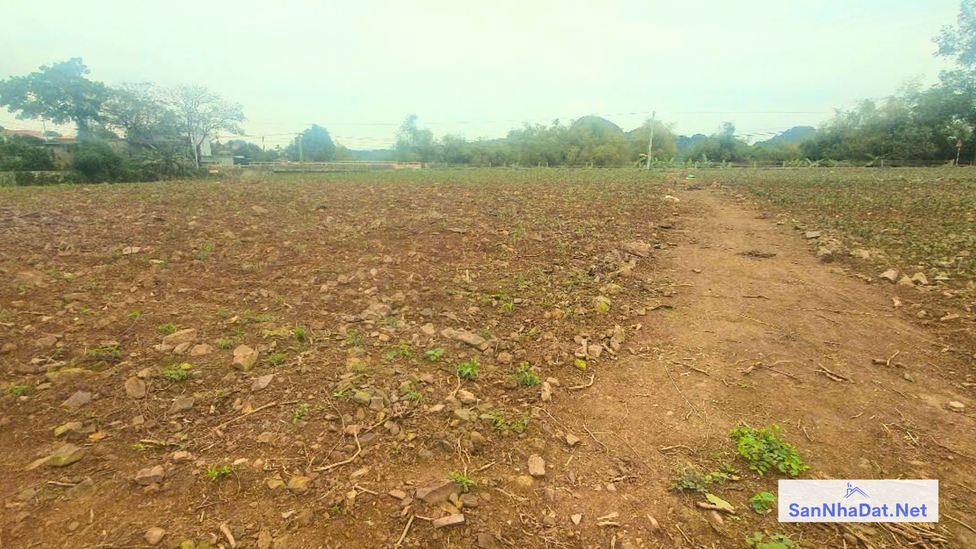 Ban Dat 4.263 M2 Tai Thanh Cao Luong Son
