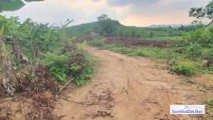 Ban Dat 9000 M2 Tai Ba Hang Doi Lac Thuy