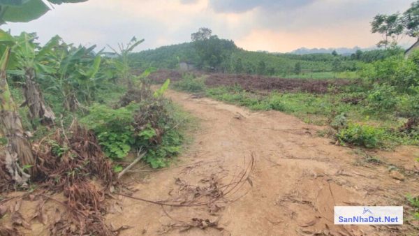 Ban Dat 9000 M2 Tai Ba Hang Doi Lac Thuy