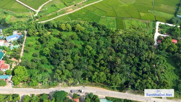 Bán Đất Tiến Xuân DT 11000M (2)