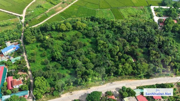 Bán Đất Tiến Xuân DT 11000M