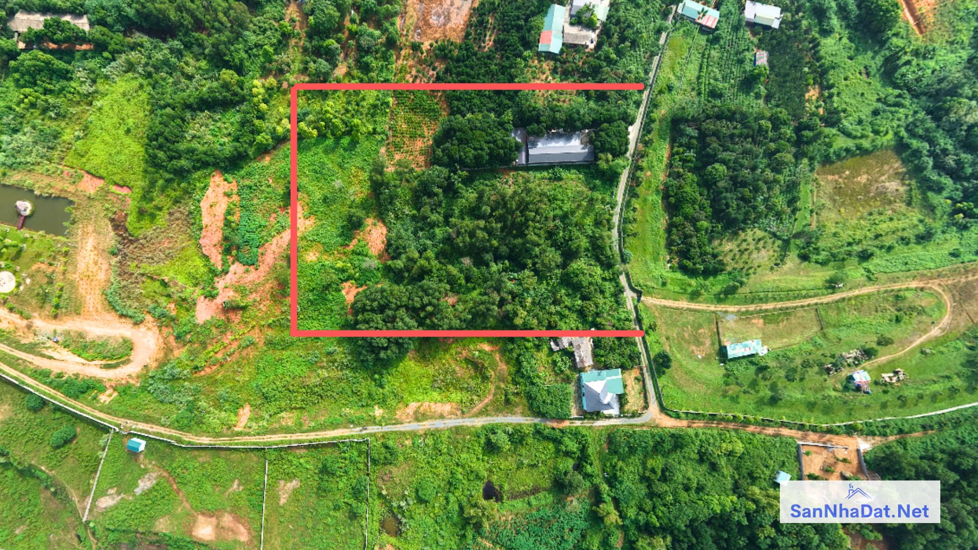 Ban Manh Dat DT 6000M Tai Hoa Thach Quoc Oai Ha Noi 1