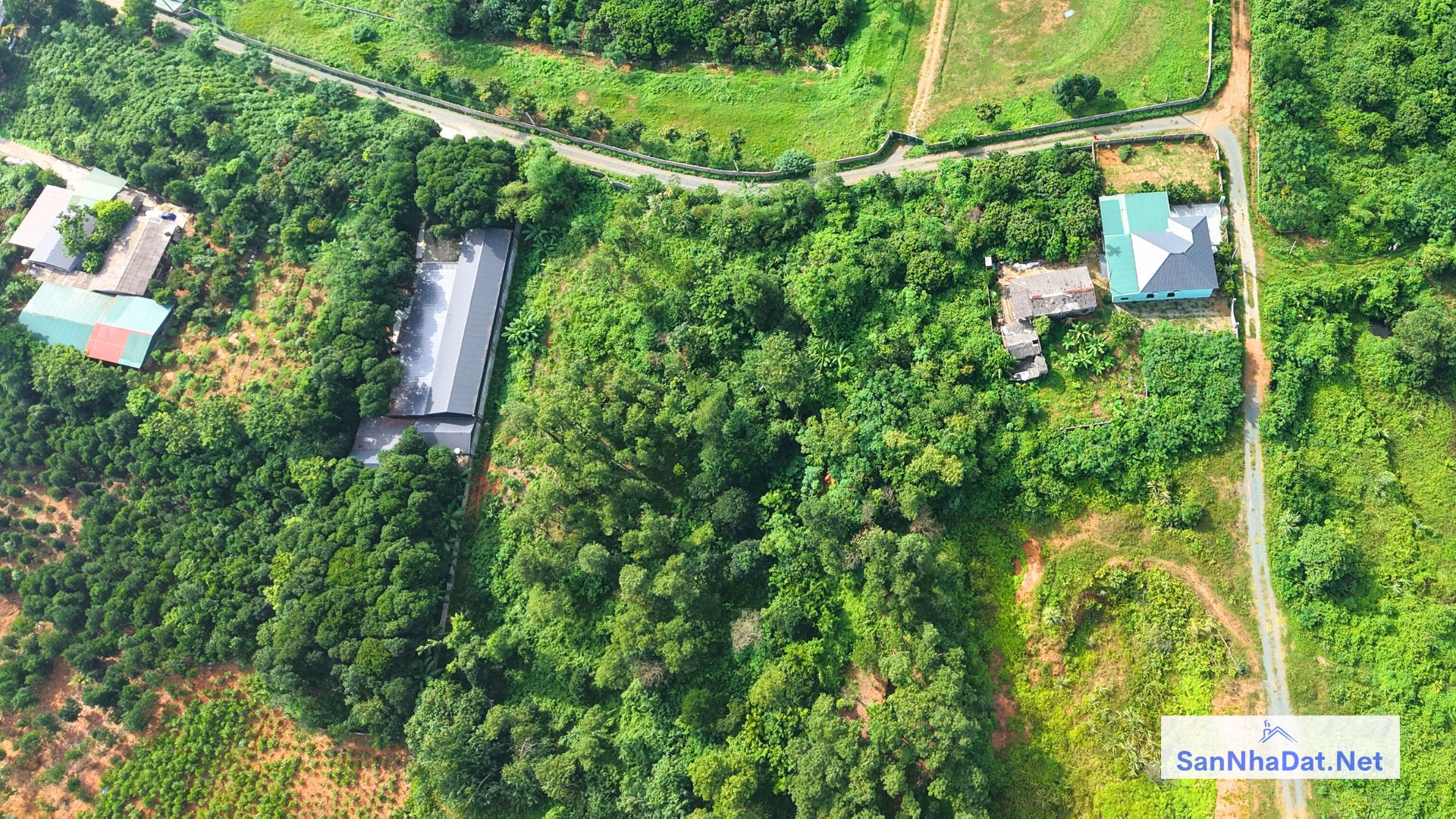 Ban Manh Dat DT 6000M Tai Hoa Thach Quoc Oai Ha Noi 2