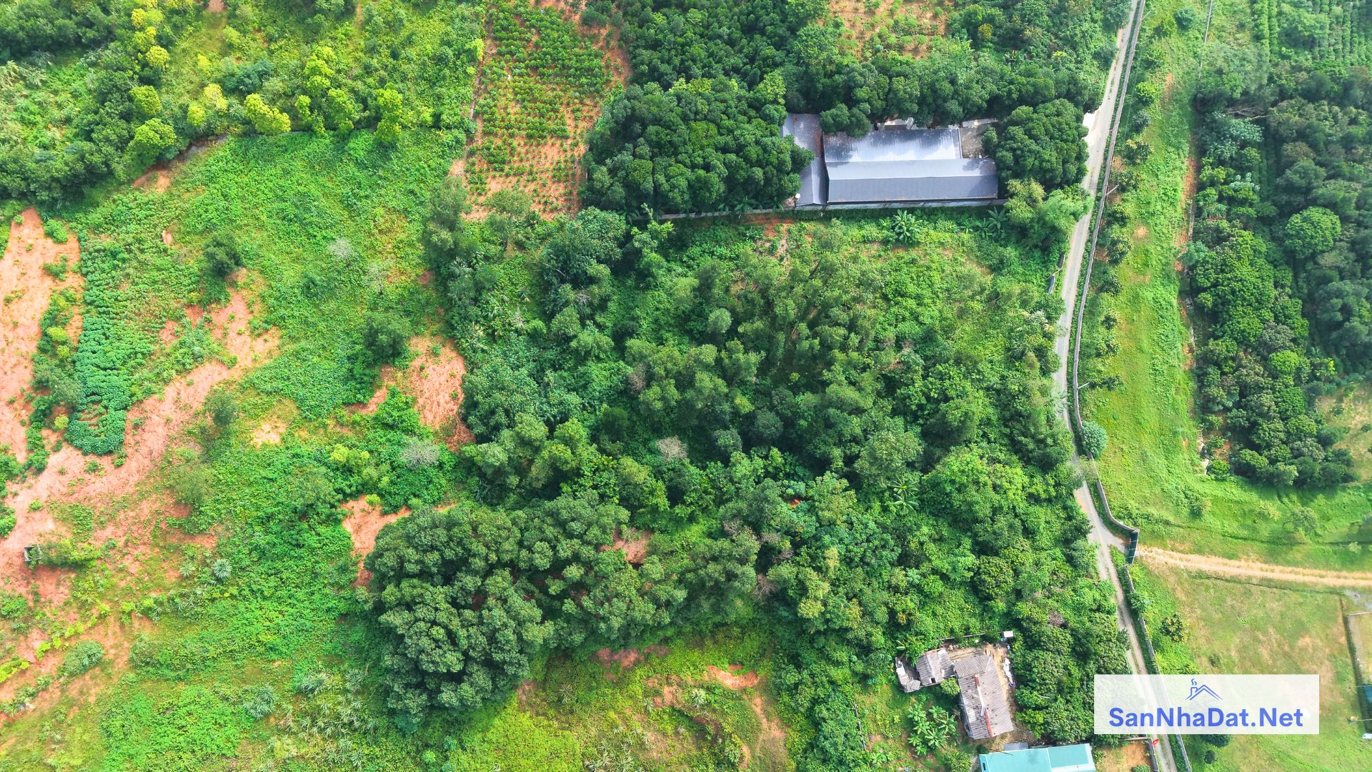 Ban Manh Dat DT 6000M Tai Hoa Thach Quoc Oai Ha Noi 3