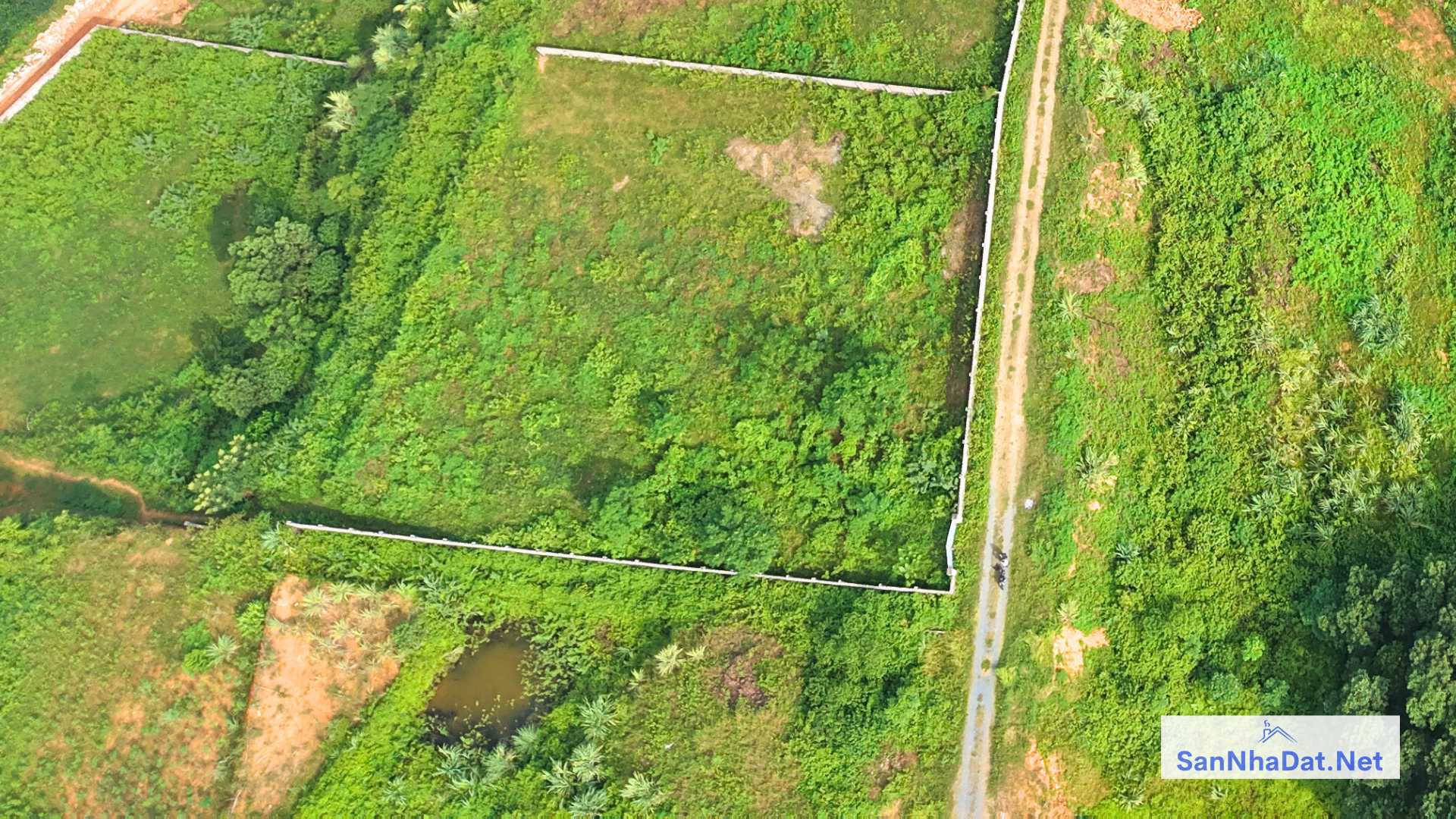 Ban Manh Dat DT 9000M Tai Hoa Thach Quoc Oai 1