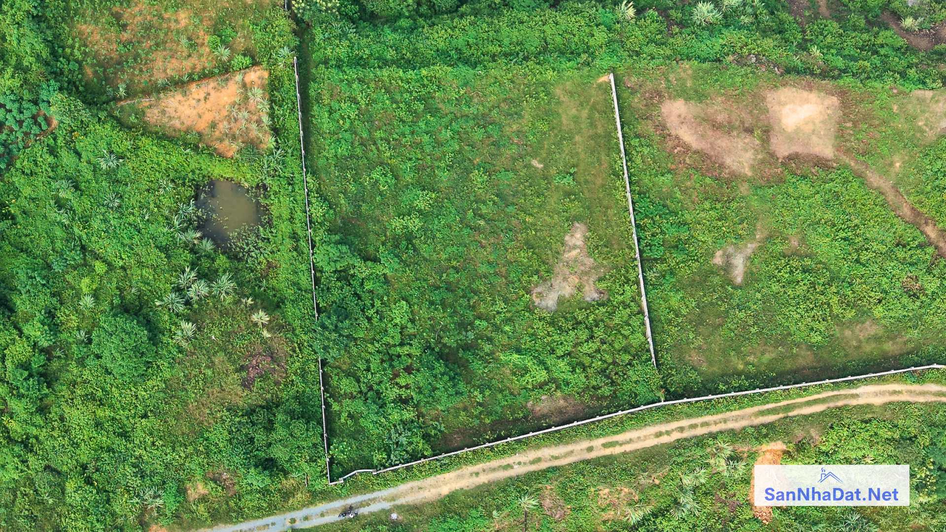 Ban Manh Dat DT 9000M Tai Hoa Thach Quoc Oai 2