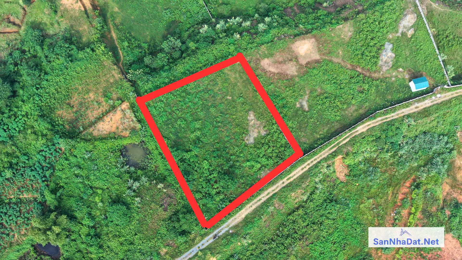 Ban Manh Dat DT 9000M Tai Hoa Thach Quoc Oai 3