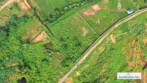 Bán Mảnh Đất DT 9000M Tại Hòa Thạch Quốc Oai