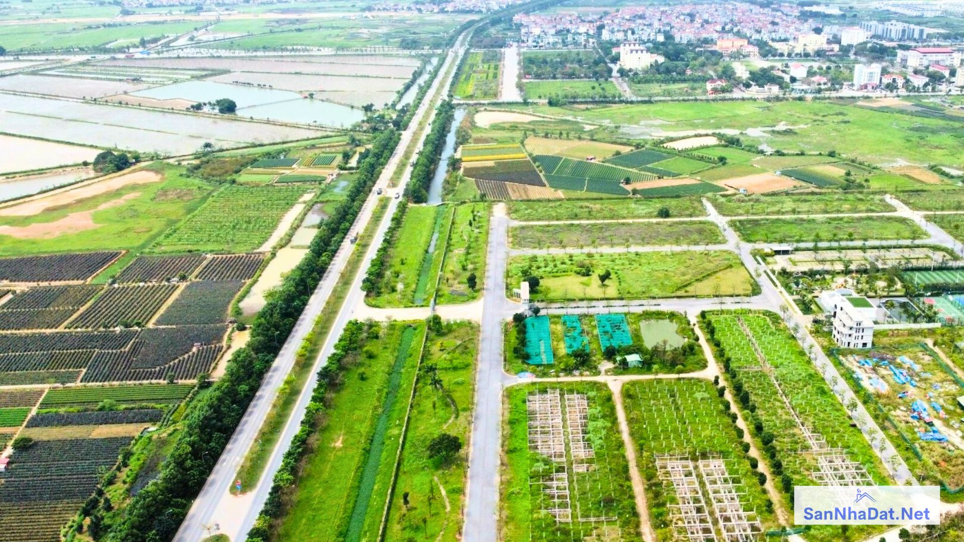 Đất Đấu Giá Là Gì