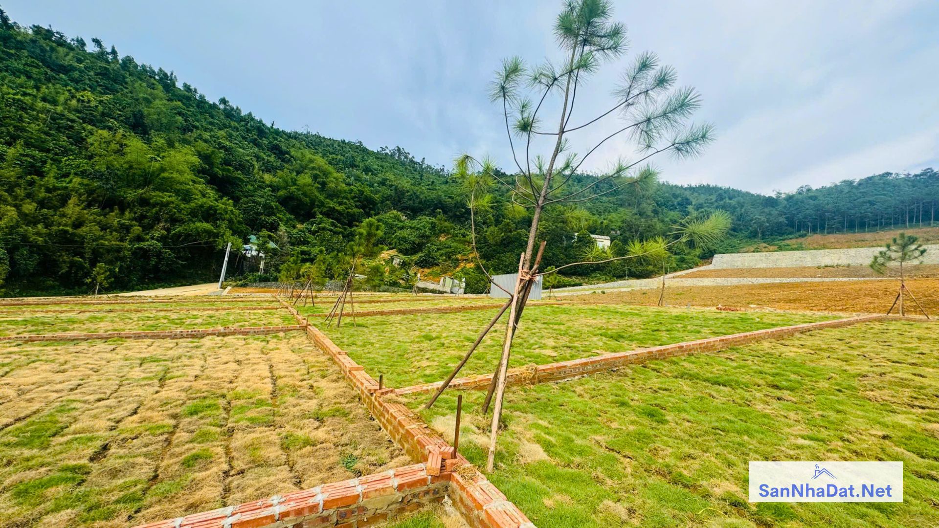 Dat Nen Dong Vo Phu Man Quoc Oai Ha Noi