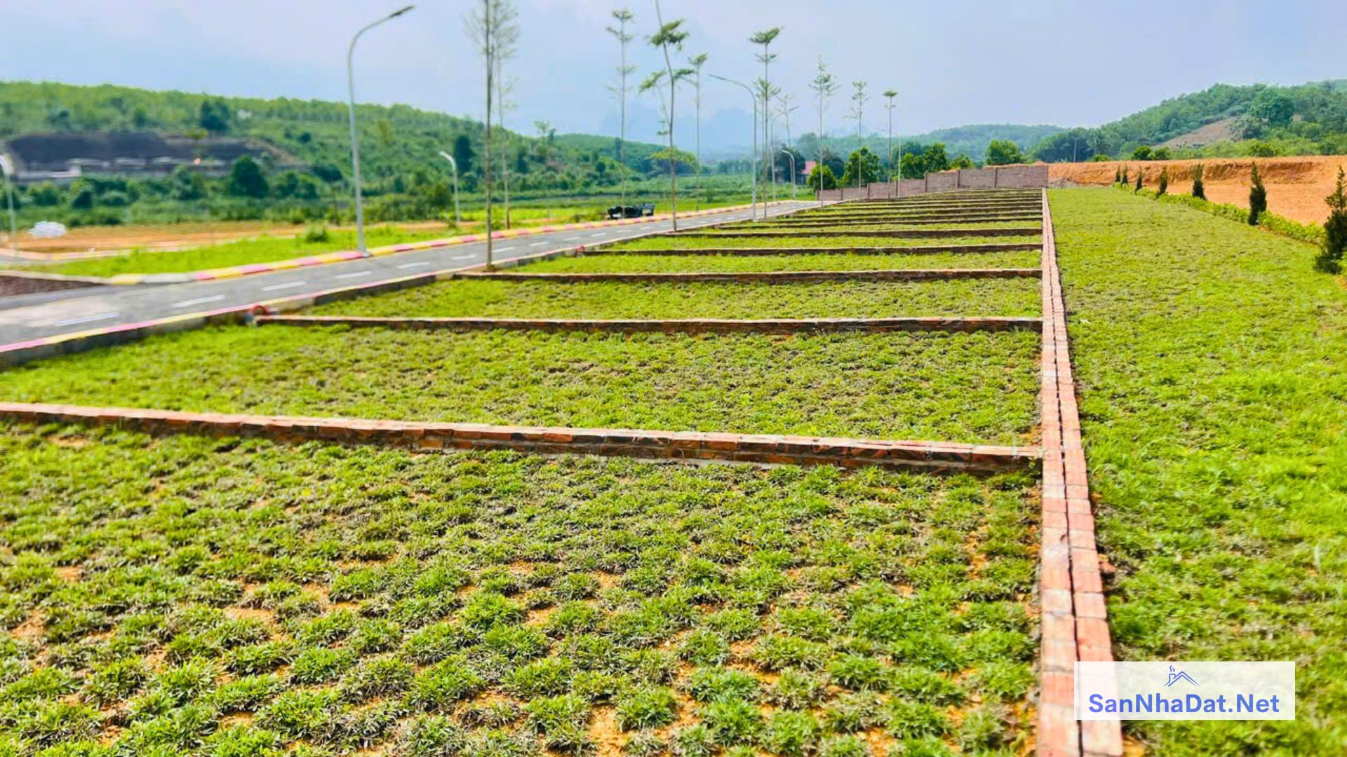 Dat Nen Hoa Binh