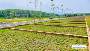 Dat Nen Lac Thuy Hoa Binh San So Hong