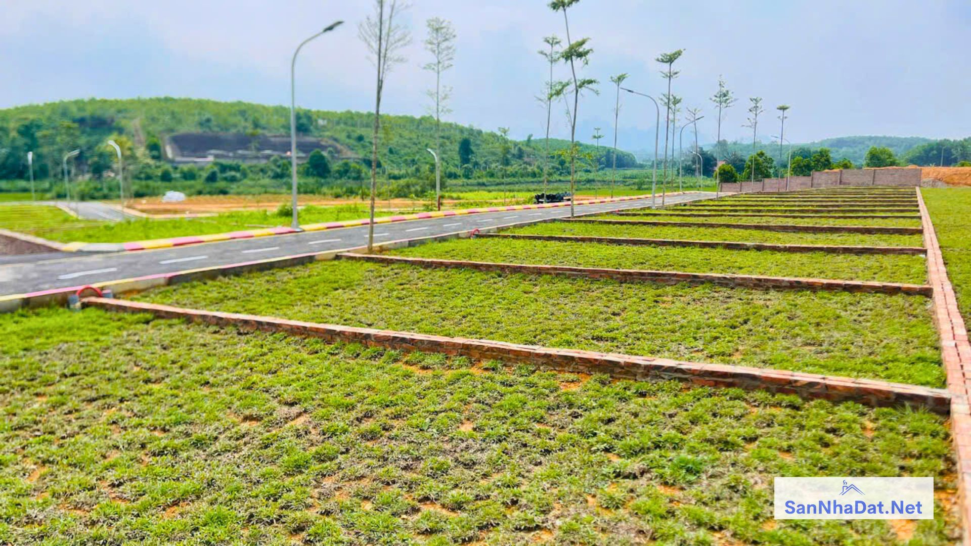 Dat Nen Lac Thuy Hoa Binh San So Hong