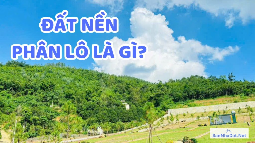 Đất nền phân lô là gì