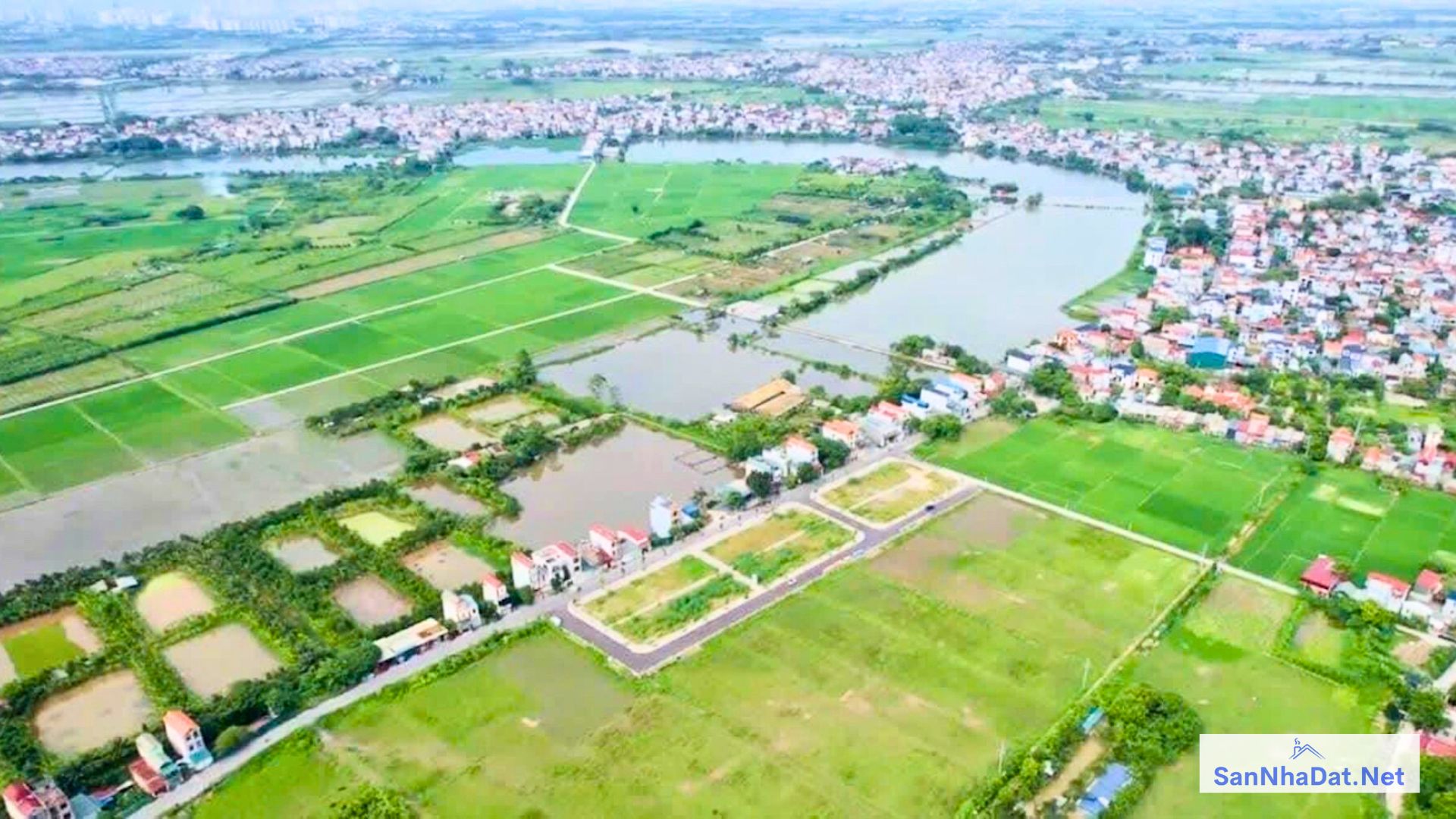 Đất Đấu Giá Là Gì