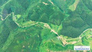 100 Ha Tại Kim Bôi Hòa Bình