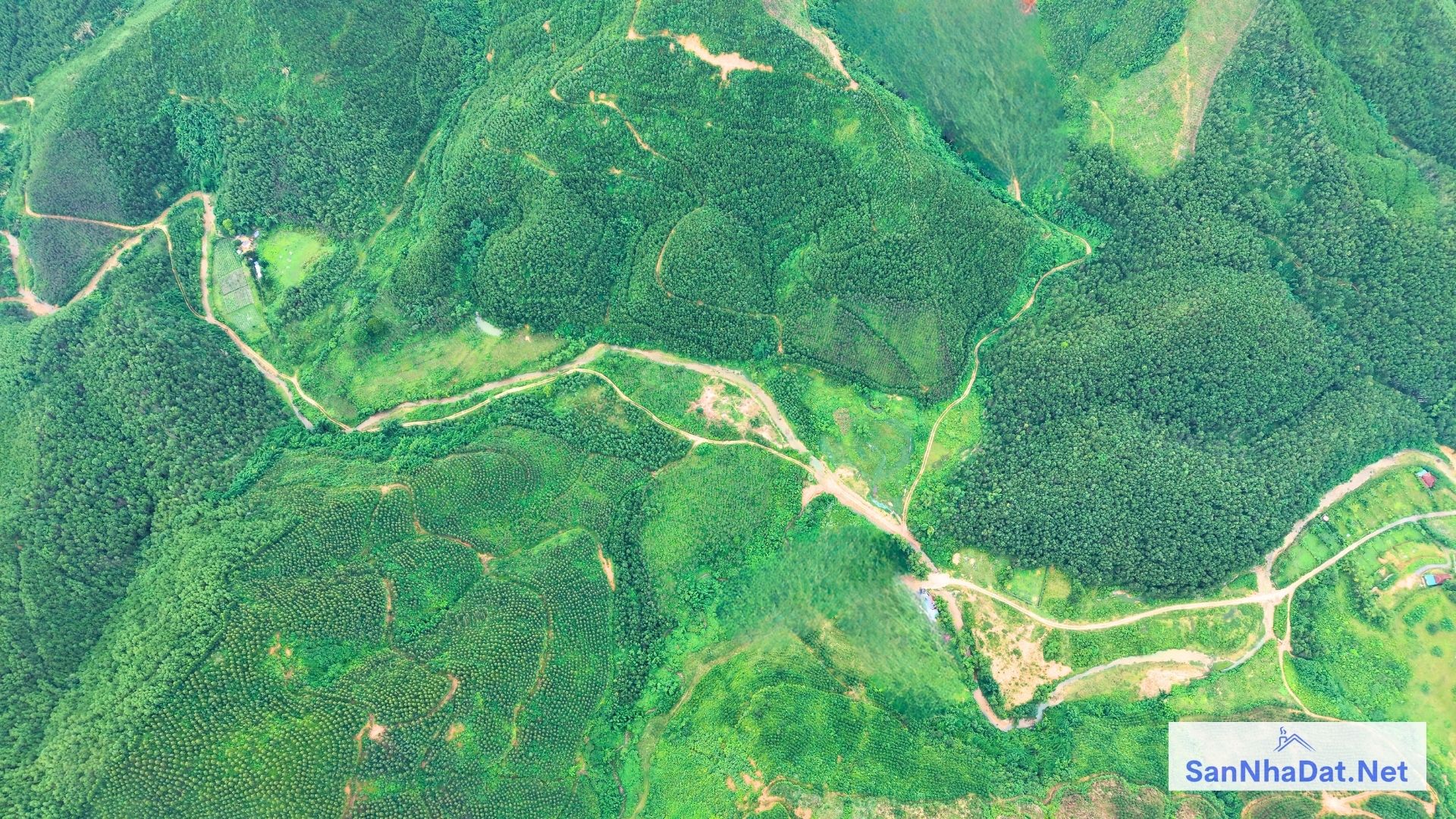 100 Ha Tai Kim Boi Hoa Binh