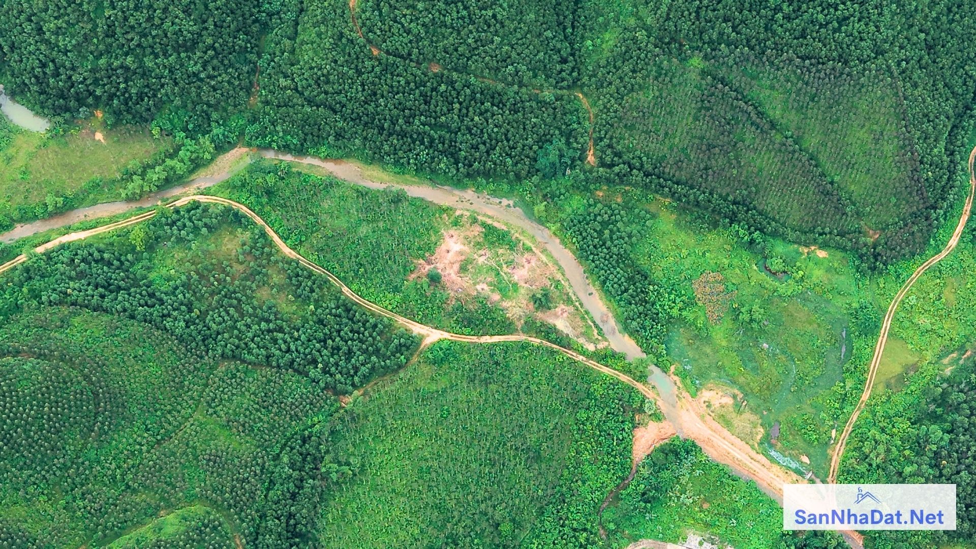 Ban 100 Ha Tai Kim Boi Hoa Binh