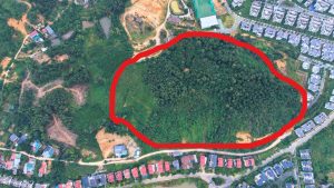 Bán Đất DT 1.8 HA Tại Tiến Xuân Thạch Thất Hà Nội (1)