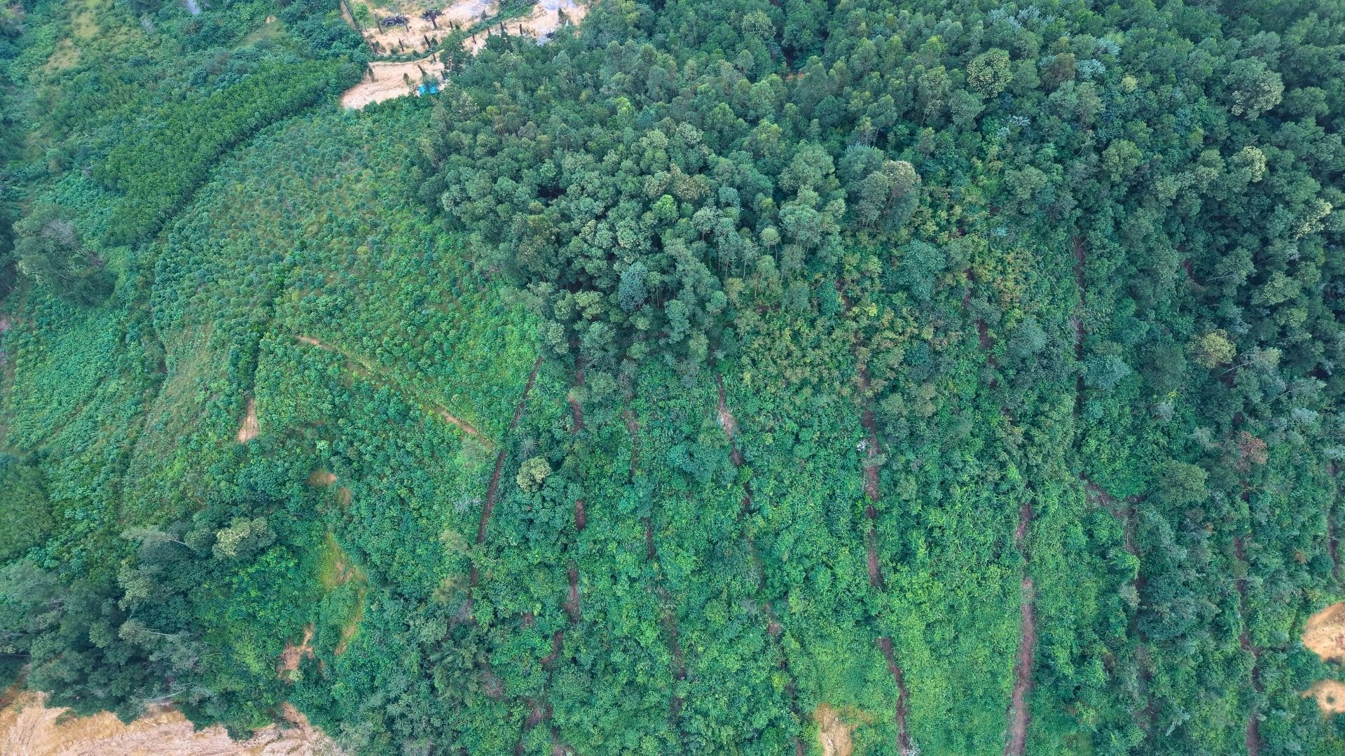 Ban Dat DT 1.8 HA Tai Tien Xuan Thach That Ha Noi 4