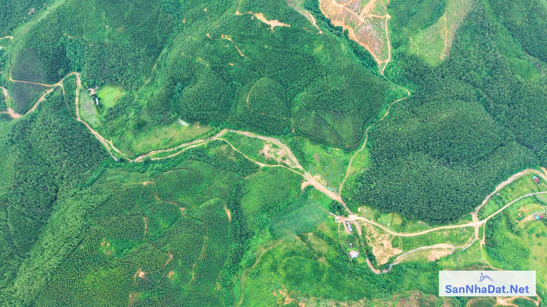 Ban Dat DT 100 Ha Tai Kim Boi Hoa Binh