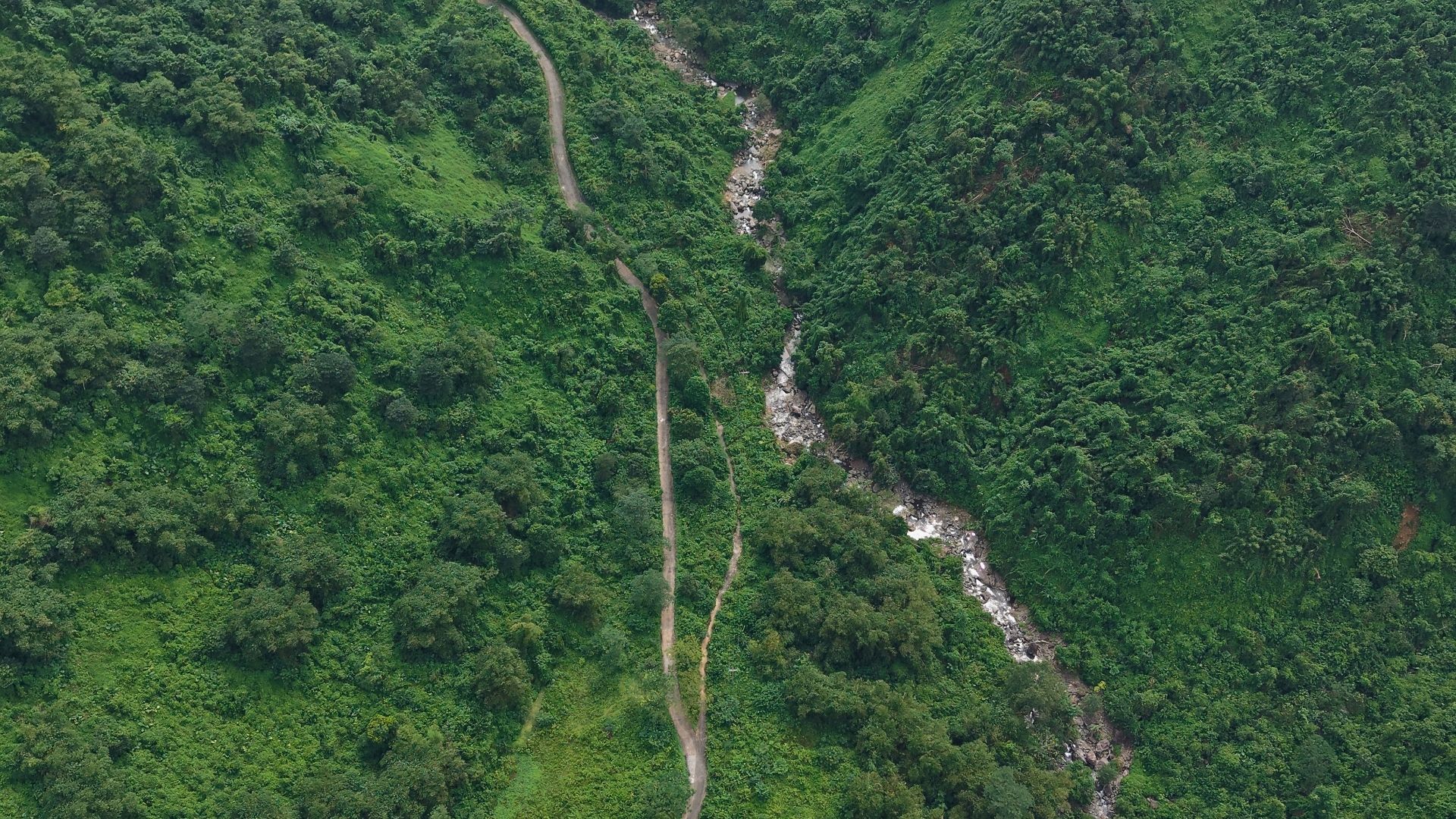 Ban Dat DT 200 HA Tai Kim Boi Hoa Binh 3