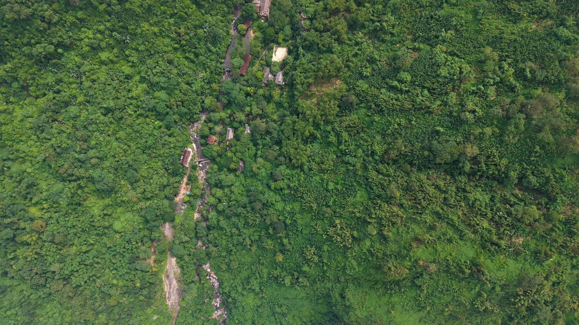 Ban Dat DT 200 HA Tai Kim Boi Hoa Binh 4