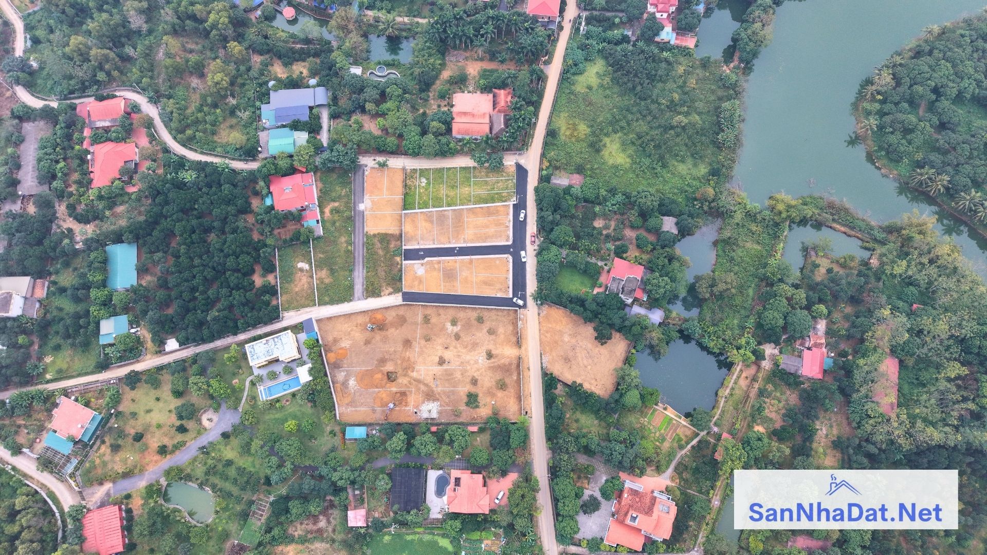 Dat Nen Dong Trang Co Dong